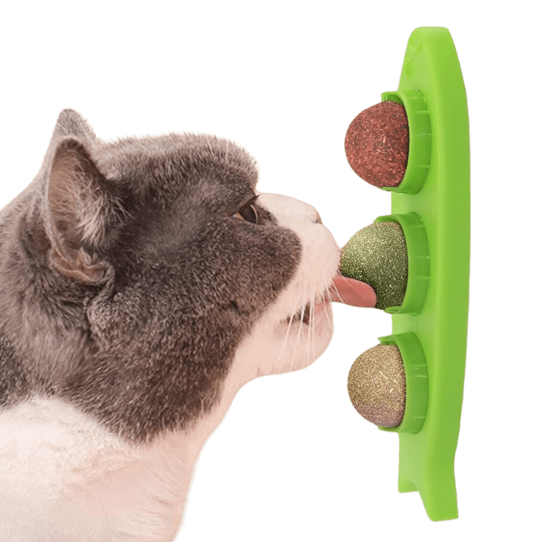 Stick - on Catnip Station - MaoMao - Paws