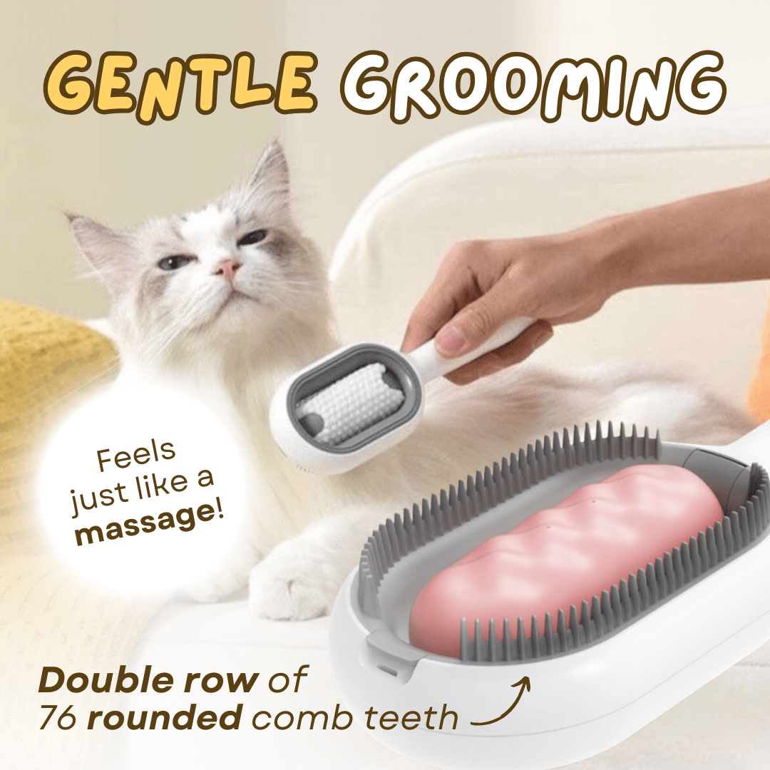 Sticky Brush 2.0 - MaoMao - Paws