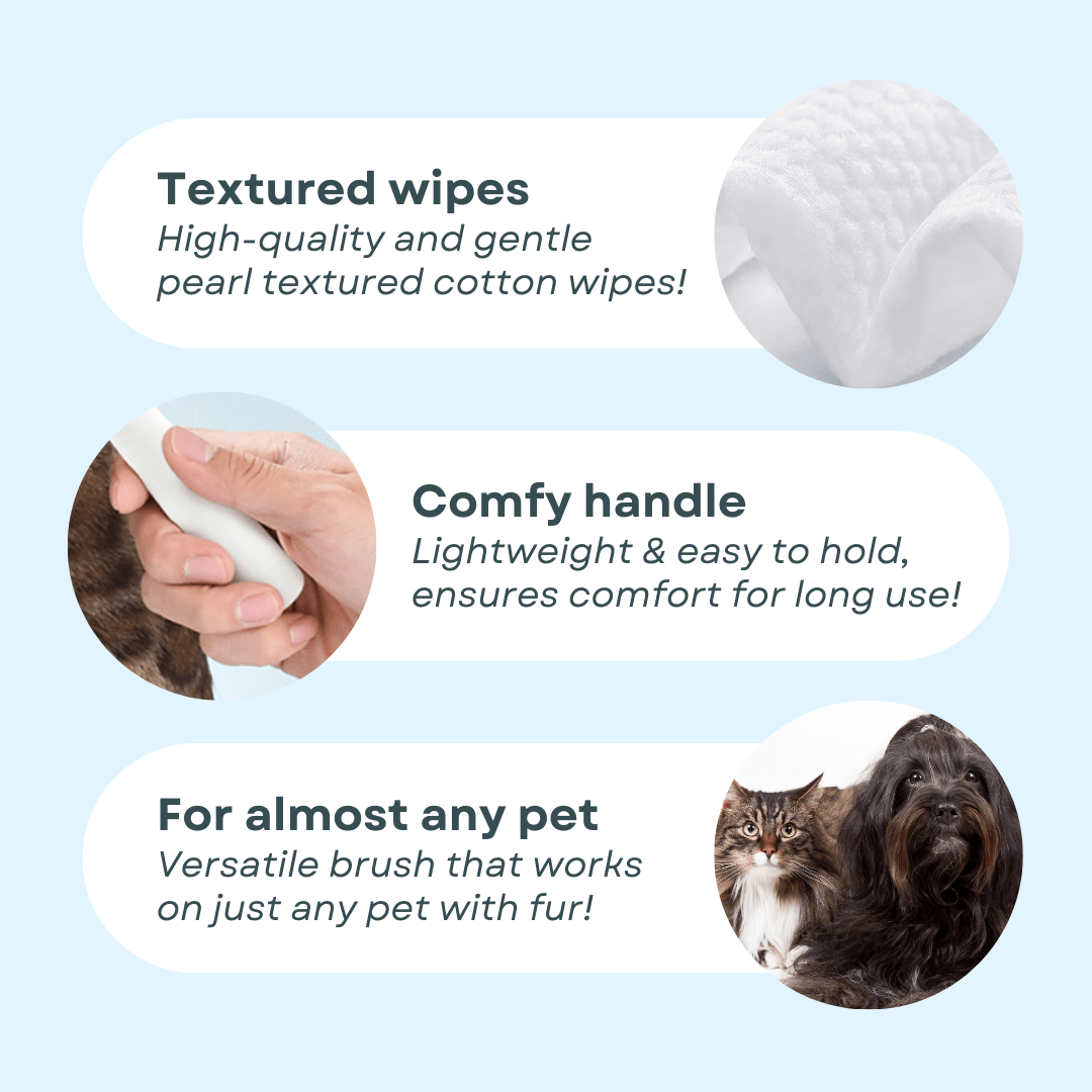 Sticky Brush 2.0 - MaoMao - Paws
