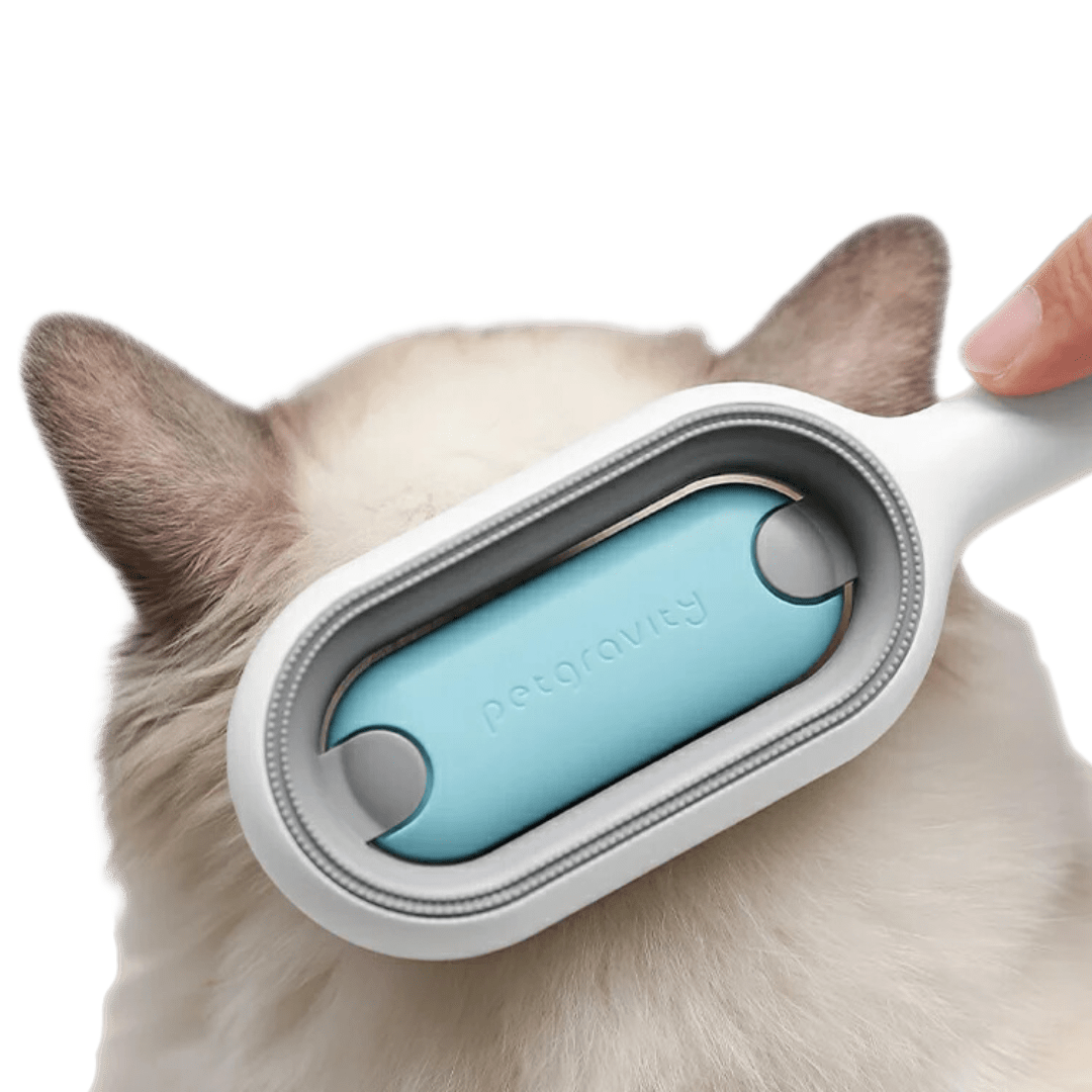 Sticky Brush - MaoMao - Paws