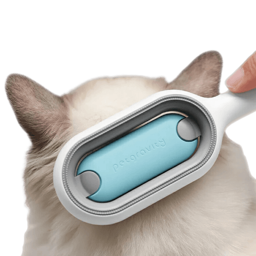 Sticky Brush - MaoMao - Paws