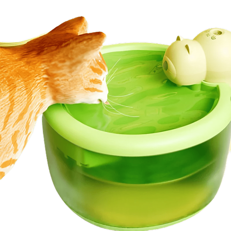 Tiny Bear Water Dispenser - MaoMao - Paws
