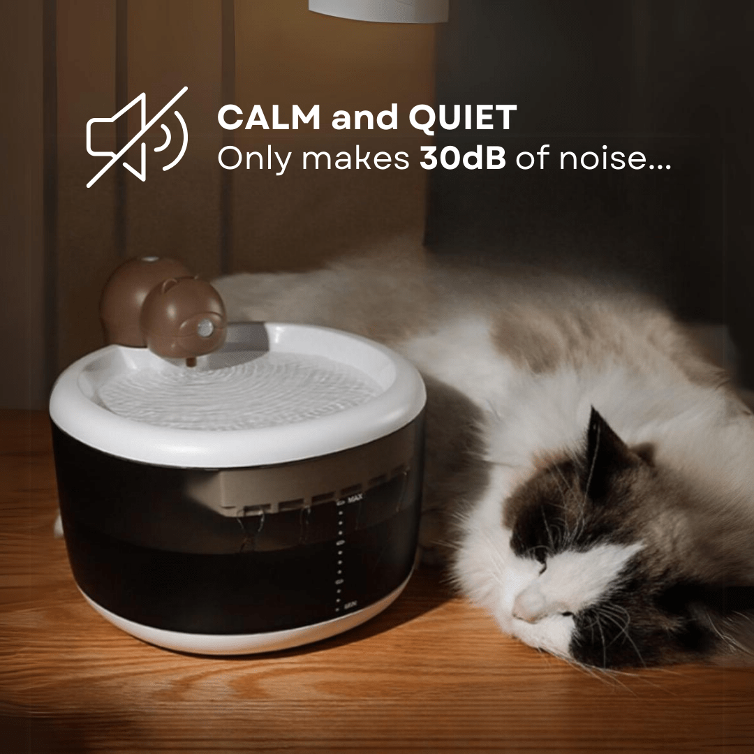 Tiny Bear Water Dispenser - MaoMao - Paws