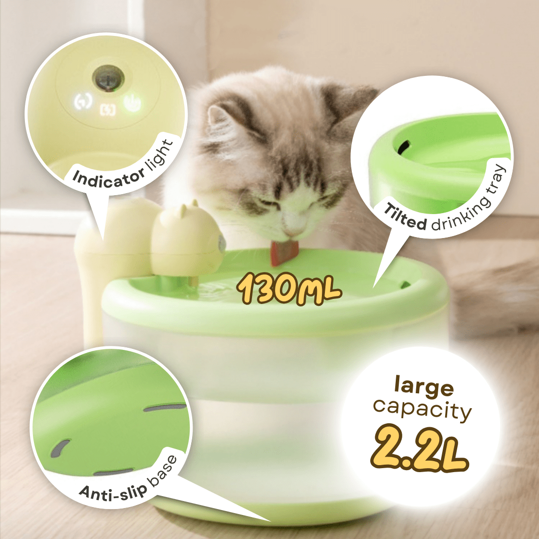 Tiny Bear Water Dispenser - MaoMao - Paws