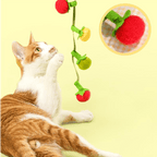 Tomato String Toy - MaoMao - Paws