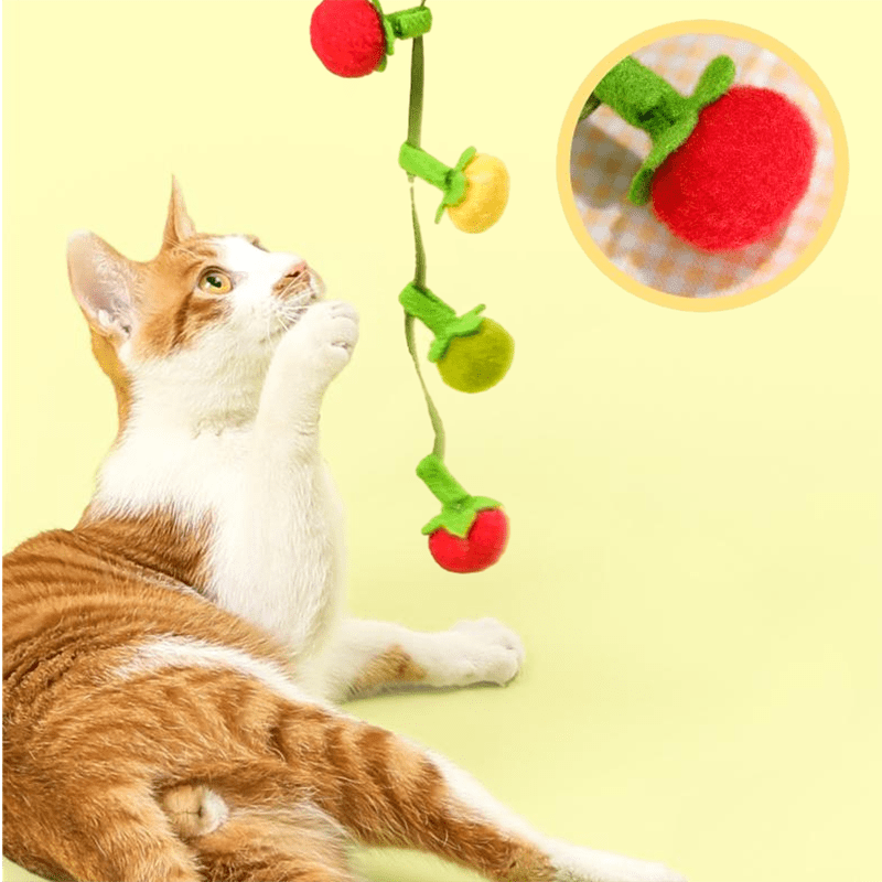 Tomato String Toy - MaoMao - Paws