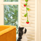 Tomato String Toy - MaoMao - Paws