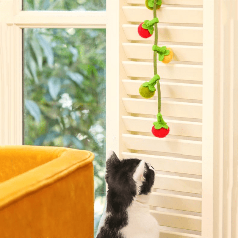 Tomato String Toy - MaoMao - Paws