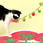Tomato String Toy - MaoMao - Paws