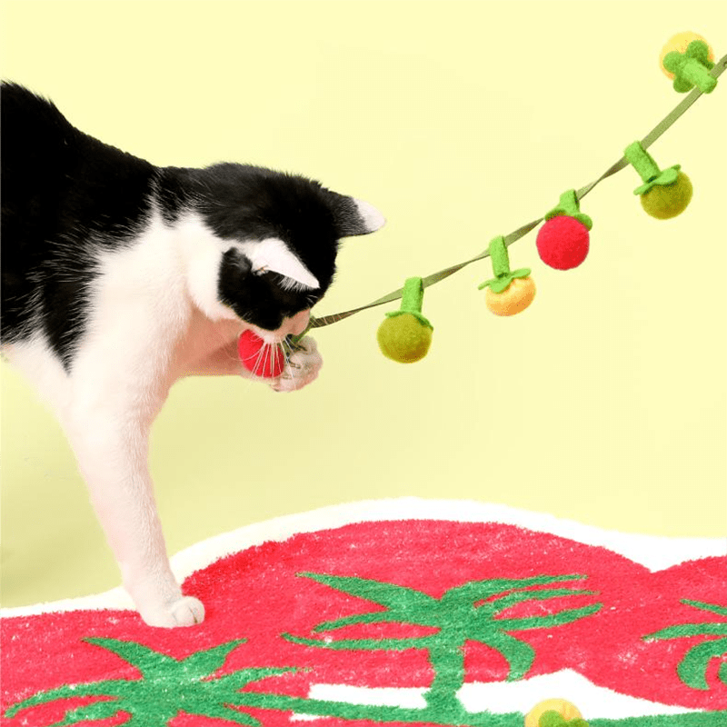 Tomato String Toy - MaoMao - Paws