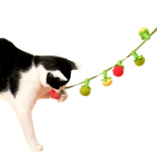 Tomato String Toy - MaoMao - Paws