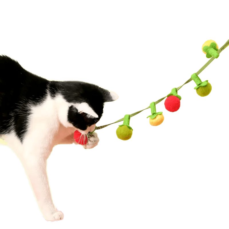 Tomato String Toy - MaoMao - Paws