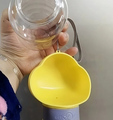 My Picky Cat Finally Drinks Enough Water!