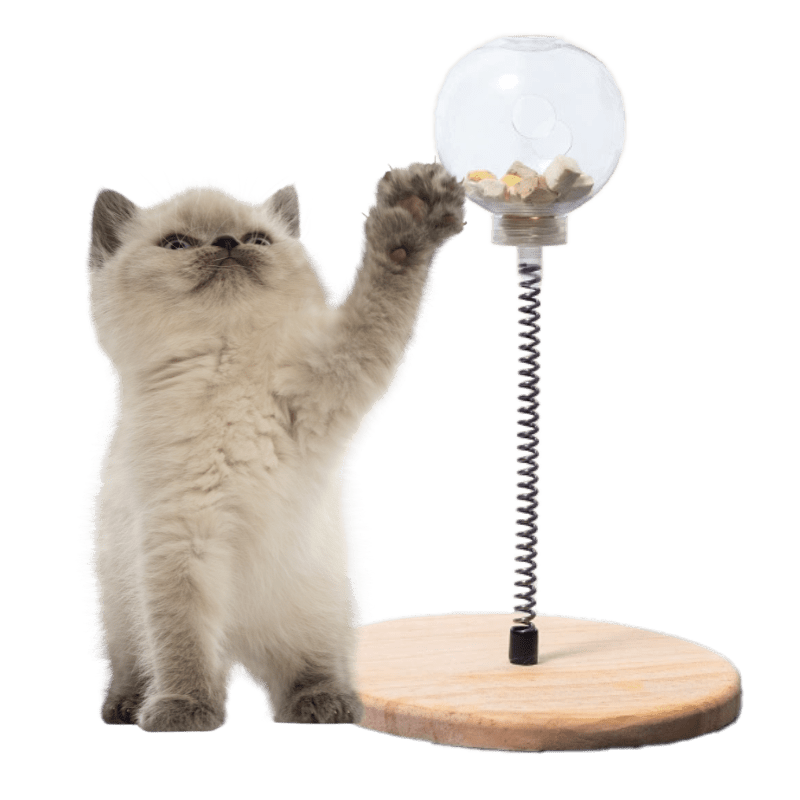 Treat Dispensing Toy - MaoMao - Paws