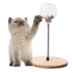 Treat Dispensing Toy - MaoMao - Paws