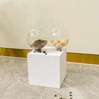 Treat Dispensing Toy - MaoMao - Paws