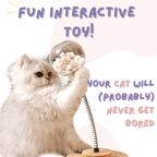 Treat Dispensing Toy - MaoMao - Paws