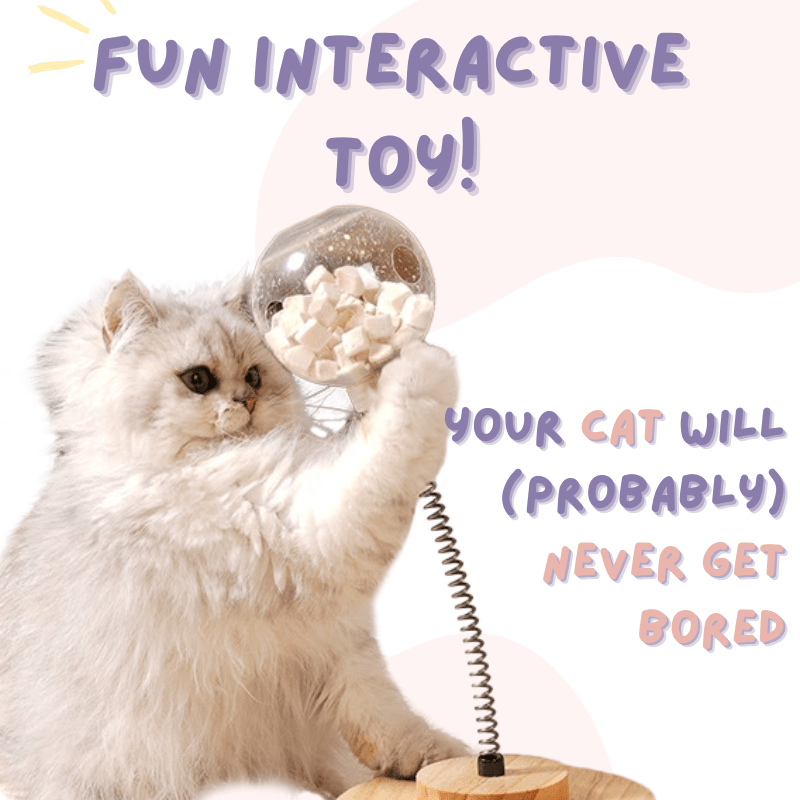Treat Dispensing Toy - MaoMao - Paws