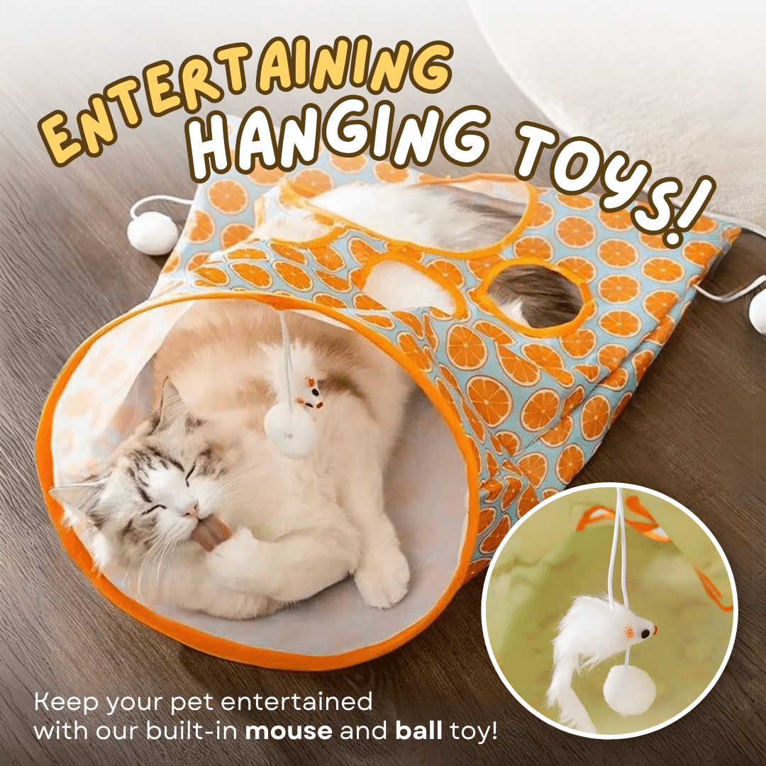 Tunnel Bag Toy - MaoMao - Paws