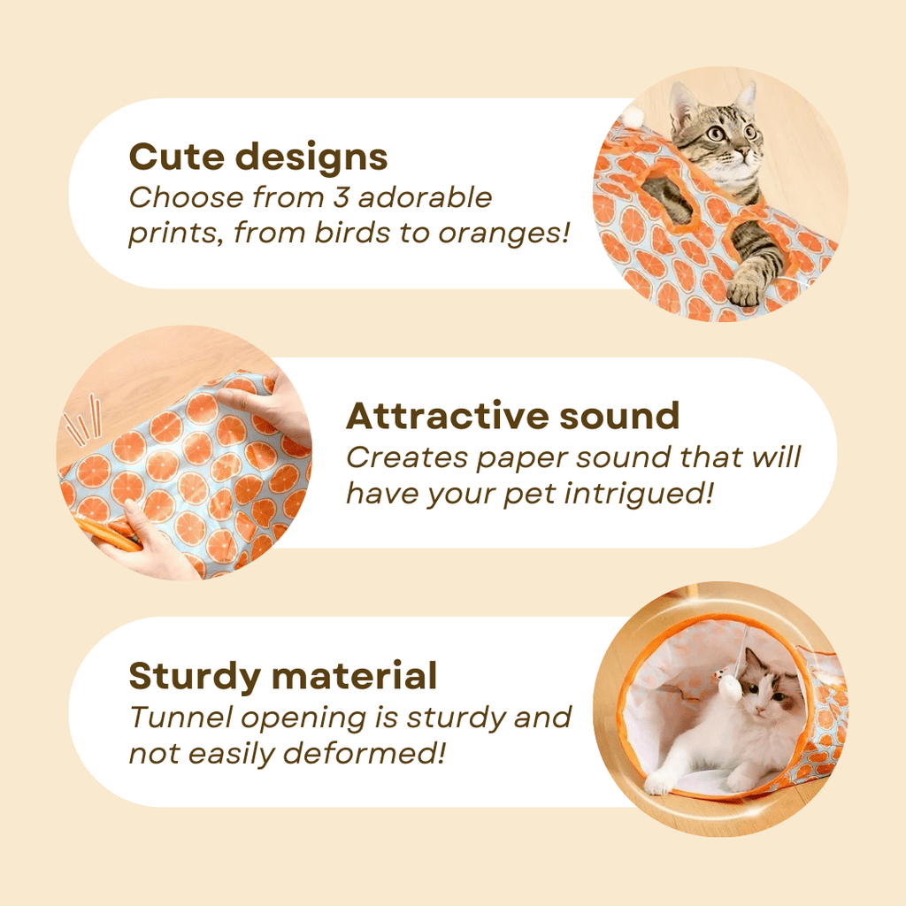 Tunnel Bag Toy - MaoMao - Paws