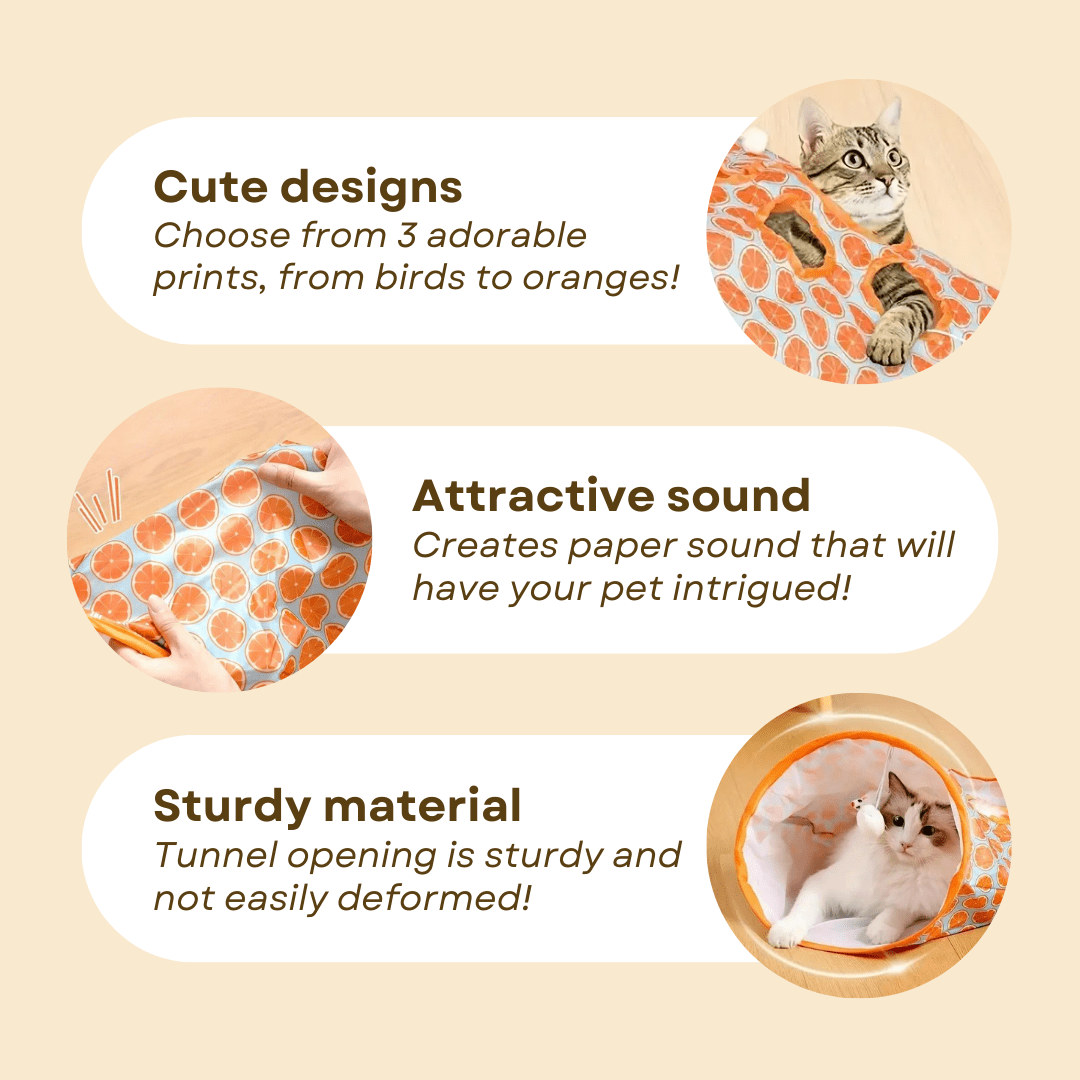 Tunnel Bag Toy - MaoMao - Paws