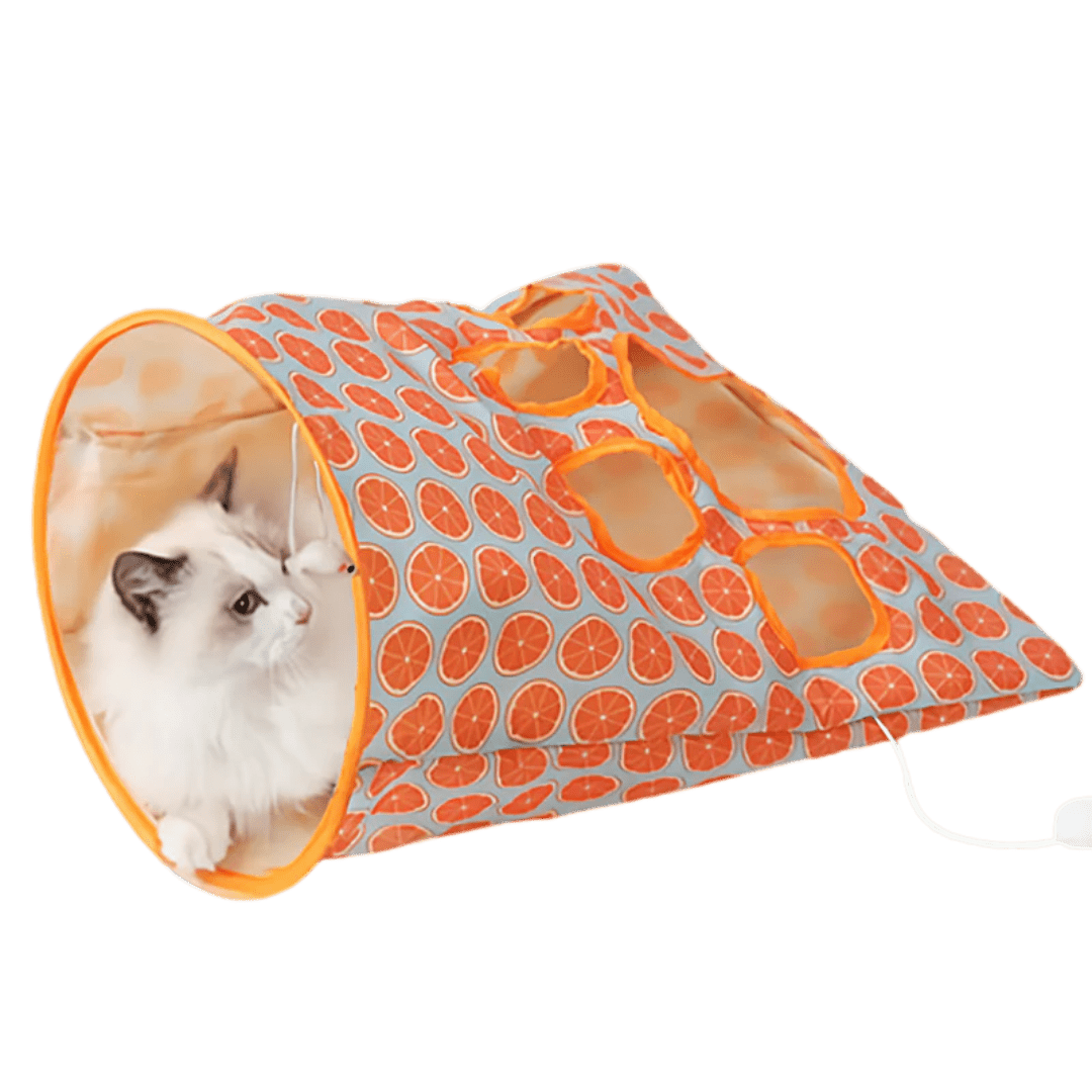 Tunnel Bag Toy - MaoMao - Paws