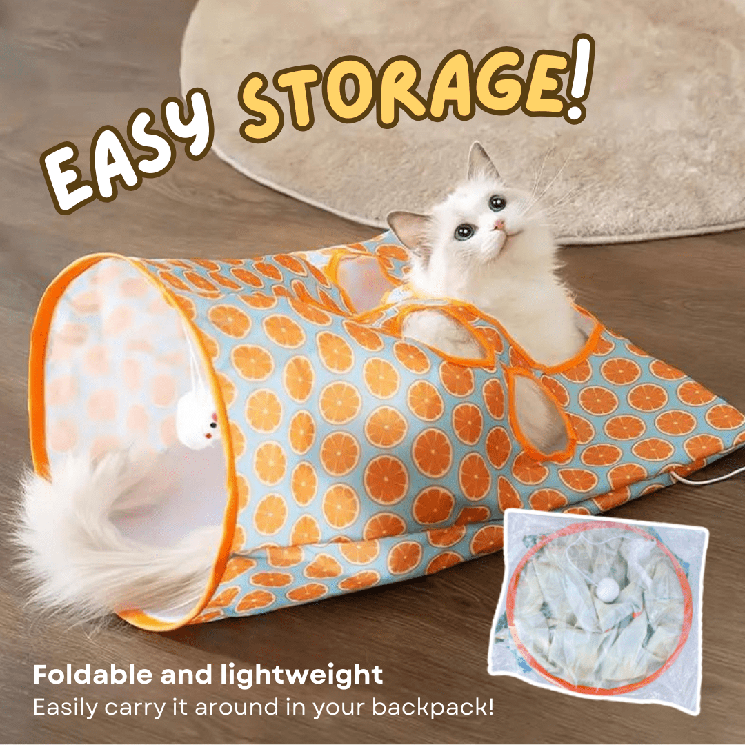 Tunnel Bag Toy - MaoMao - Paws