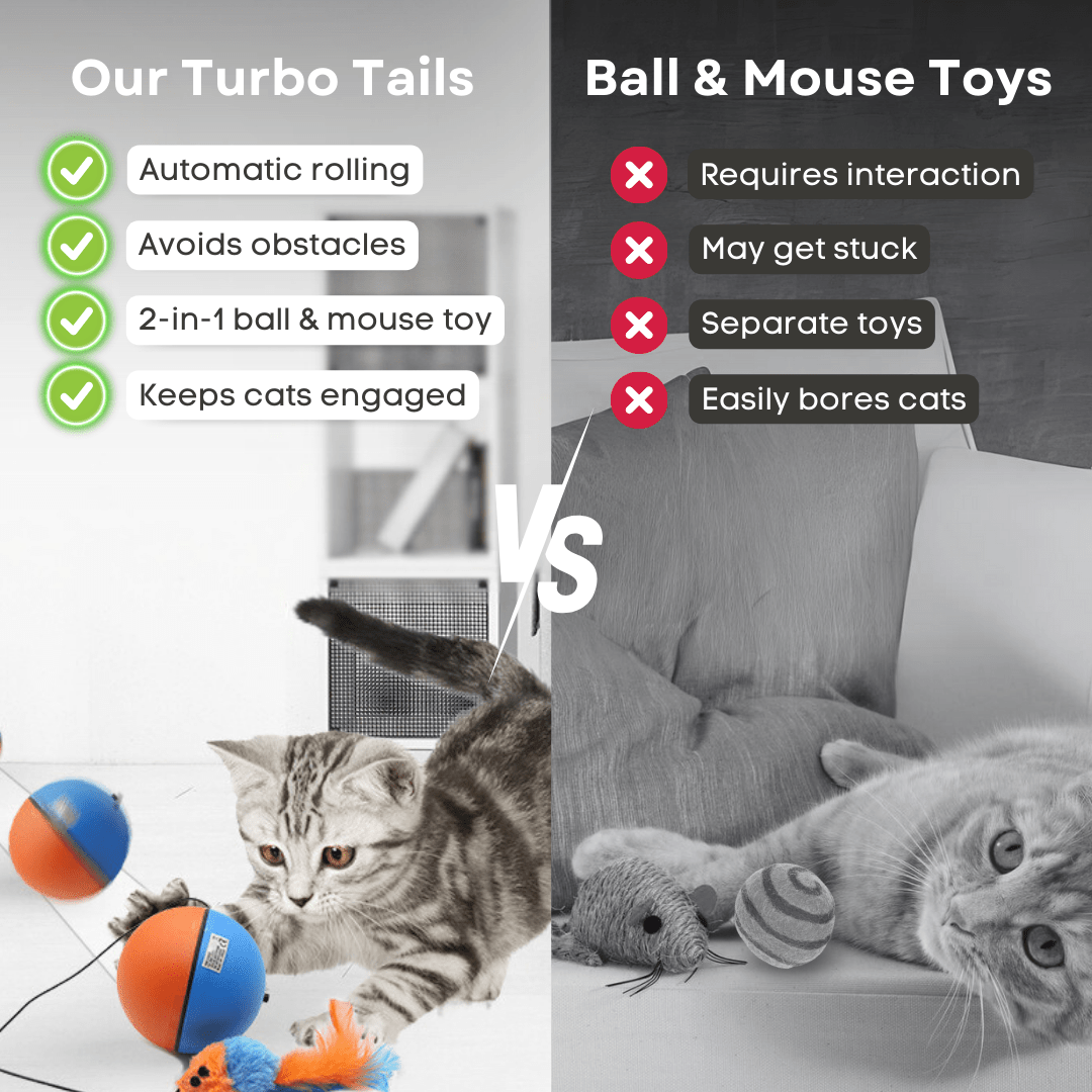Turbo Tails - MaoMao - Paws