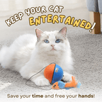 Turbo Tails - MaoMao - Paws