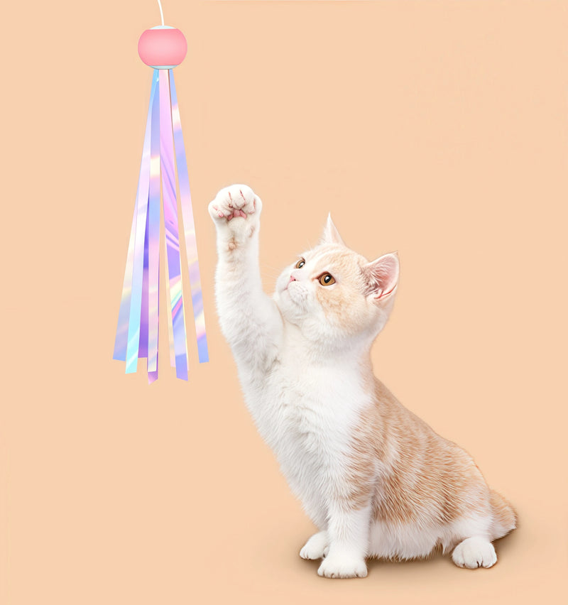 Laser Cat Toy Saves So Much Effort!