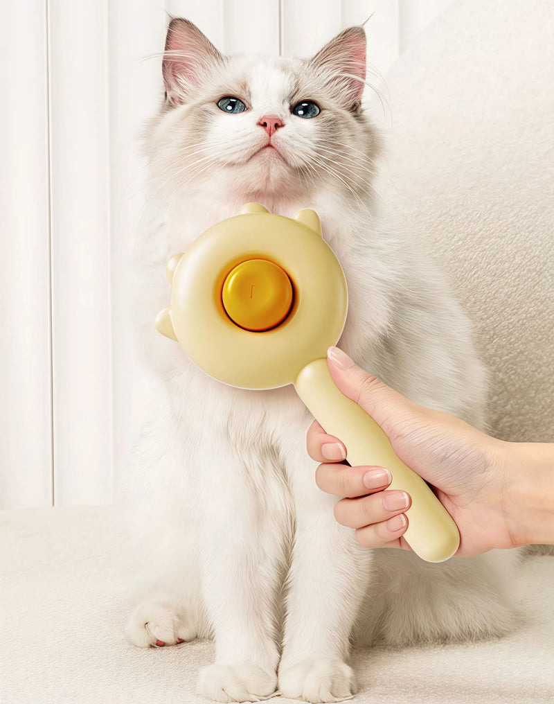 One-Click Cleanup After Brushing—Genius!