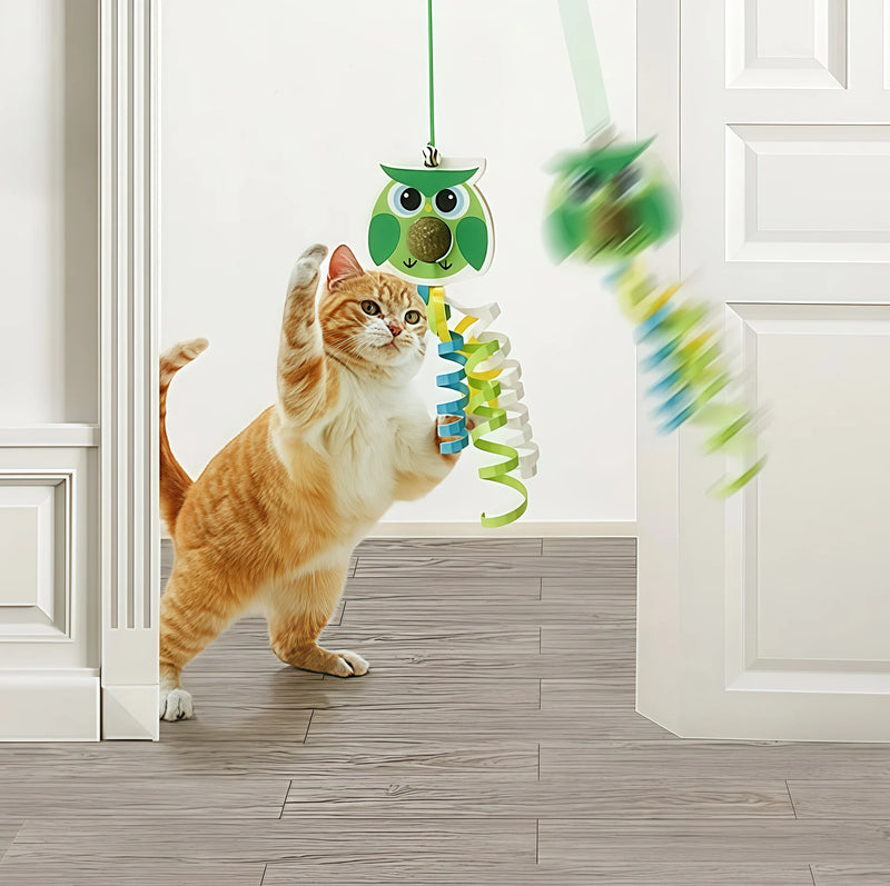 Wow! Cats Go Crazy for These 4 Toys!