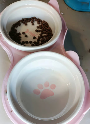 My Cat’s New Go-To Bowl—No Joke!