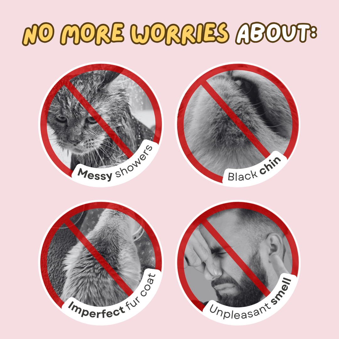 Waterless Cat Shampoo - MaoMao - Paws