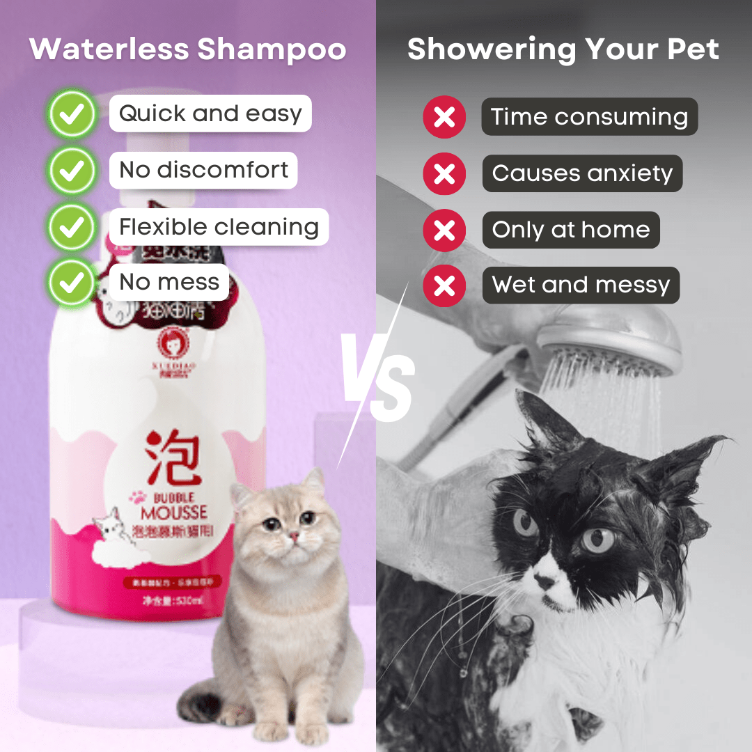 Waterless Cat Shampoo - MaoMao - Paws