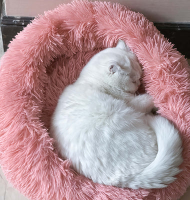 Soft Enough for My Picky Luna!