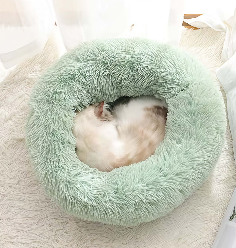 Oh my god! This cat bed is as soft as a cloud!