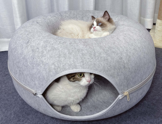 Best 2-in-1 Bed for My Kitten!