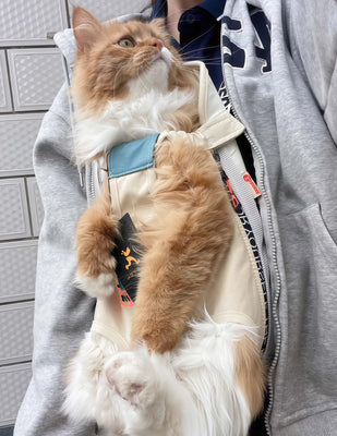 Finally a Carrier My Cat Actually Likes!