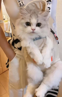 Great Fit for Small Cats—Super Comfy!