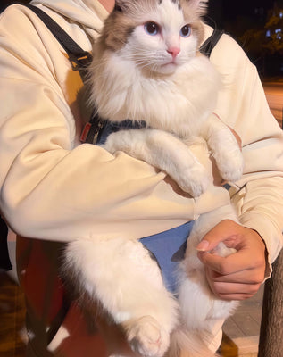 Cute & Functional—Perfect for Vet Trips!