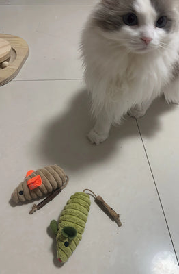 Oscar’s New Go-To Toy (Finally!)