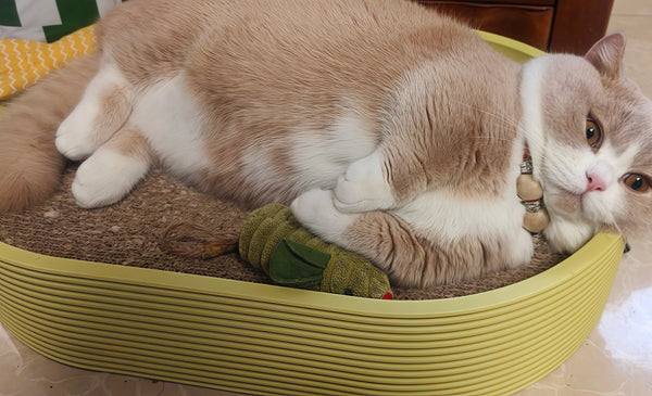 Finally a Toy That Keeps Lila Busy!