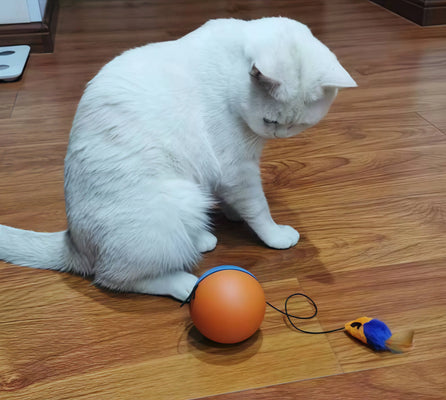 Turbo Tails Hits the Mark for Hunting Instincts!
