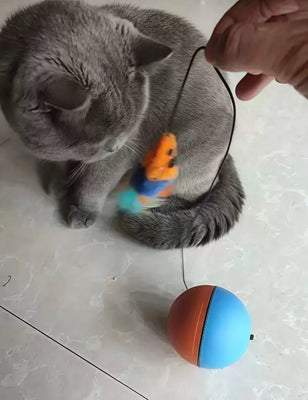 Turbo Tails Turned My Lazy Cat Into a Playful Beast!
