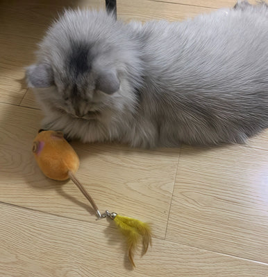 My Cat Can’t Get Enough of This Smart Mouse!