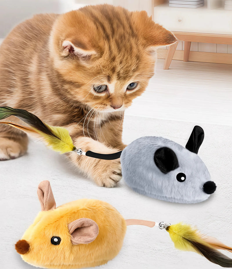 Oh my god! This mouse plays hide and seek!