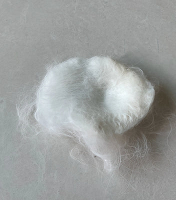 Best Brush for a Picky Cat!