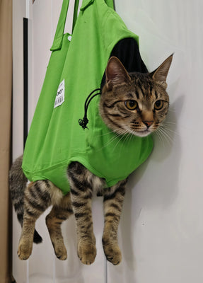 Perfect for Small Cats—My Mochi Loves It!