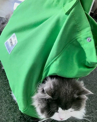 Great for Quick Trips with My Cat!